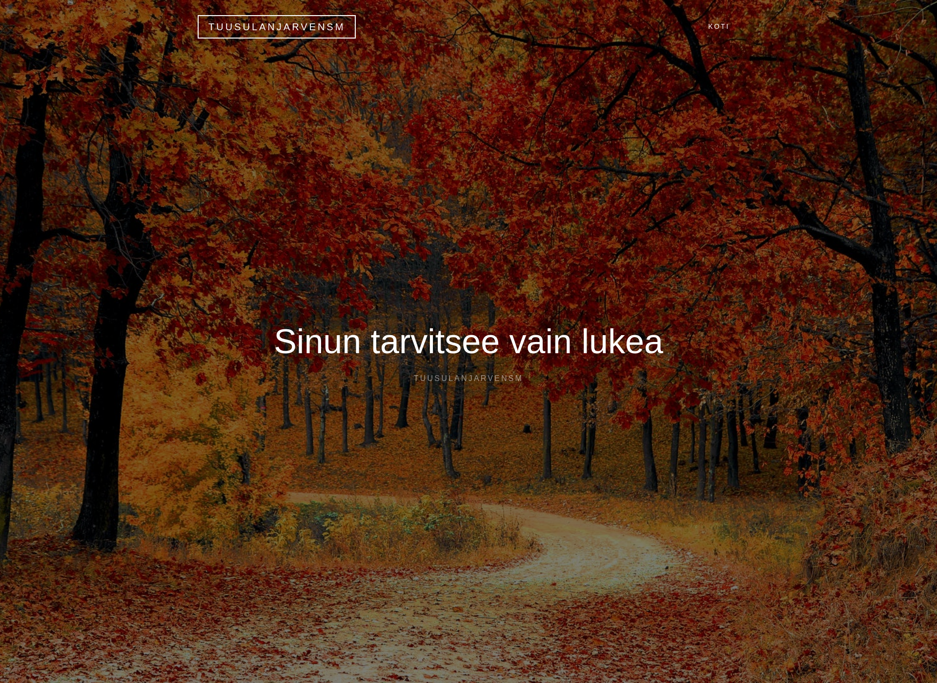 Screenshot for tuusulanjarvensm.fi