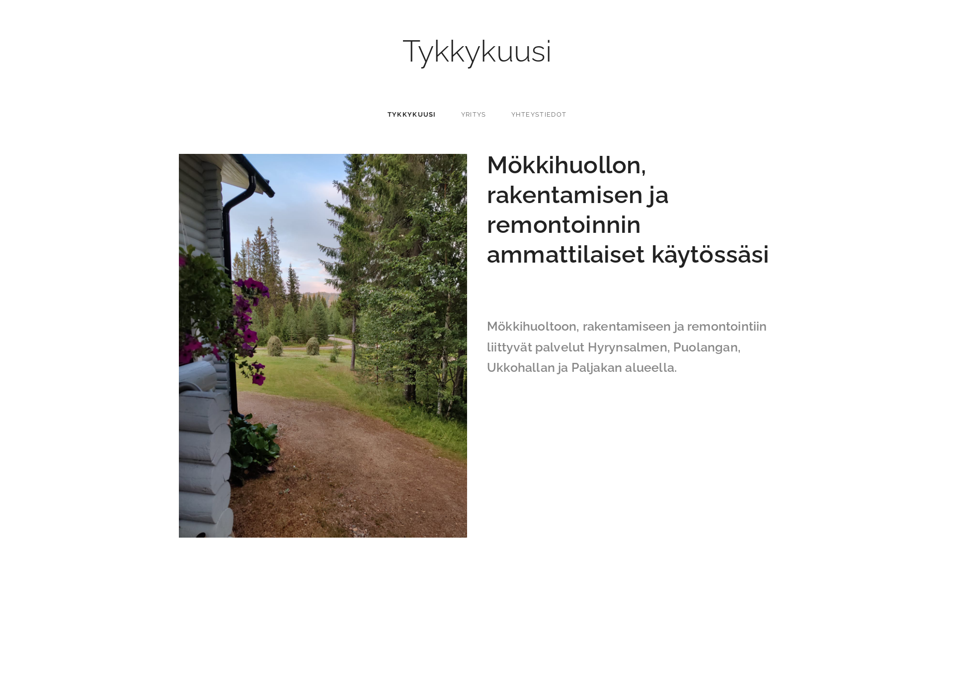 Screenshot for tykkykuusi.fi