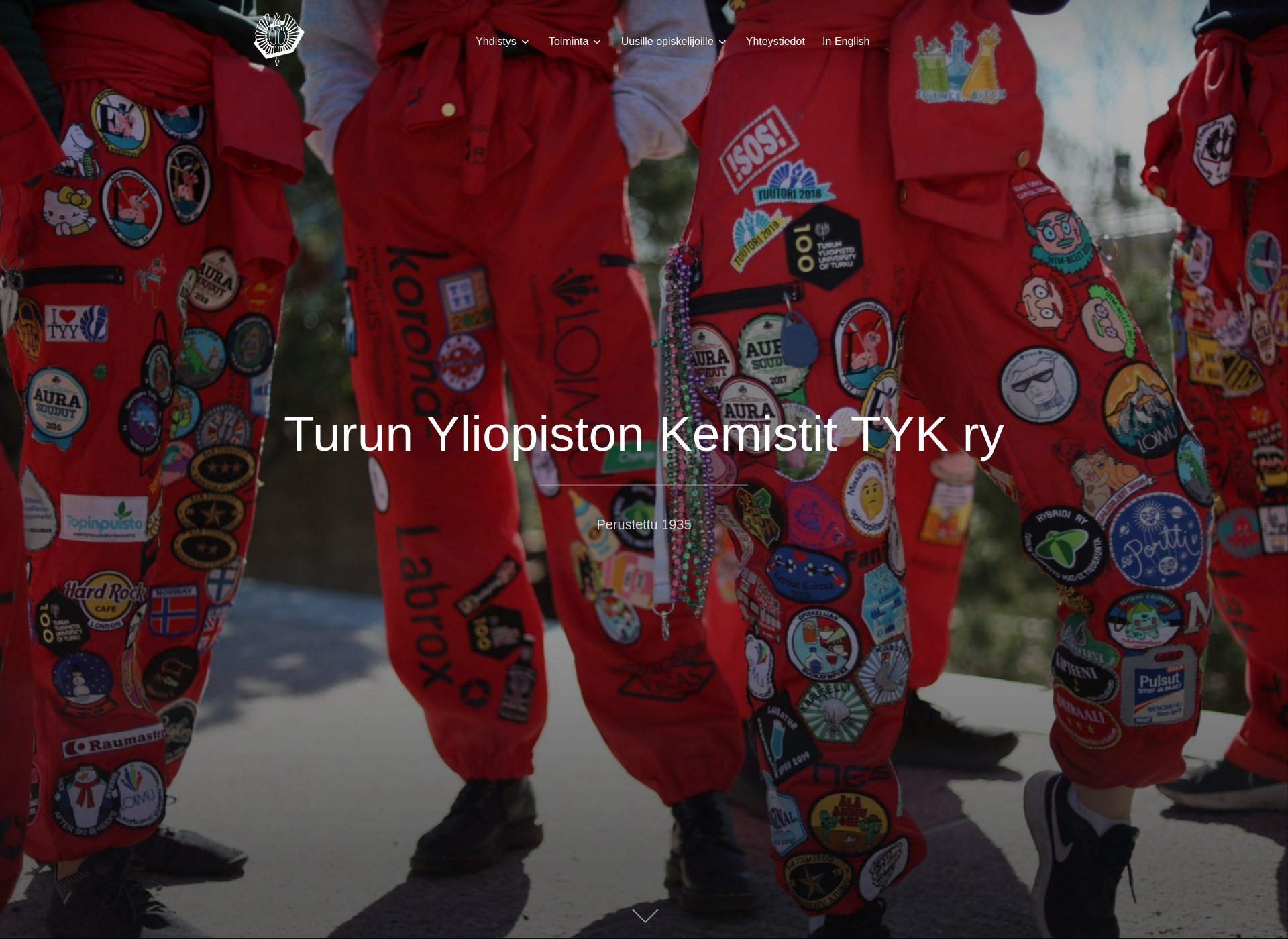 Screenshot for tykry.fi