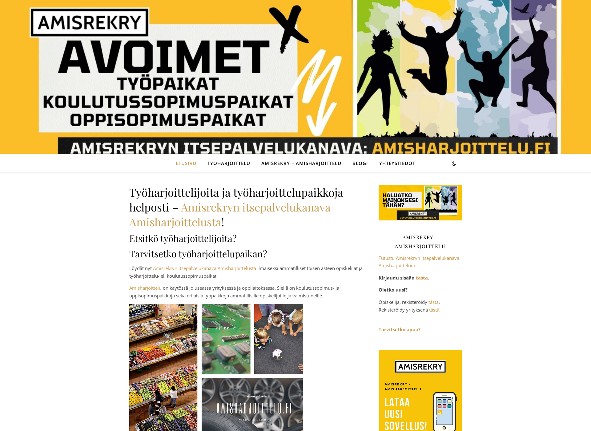 Screenshot for tyoharjoittelu.fi