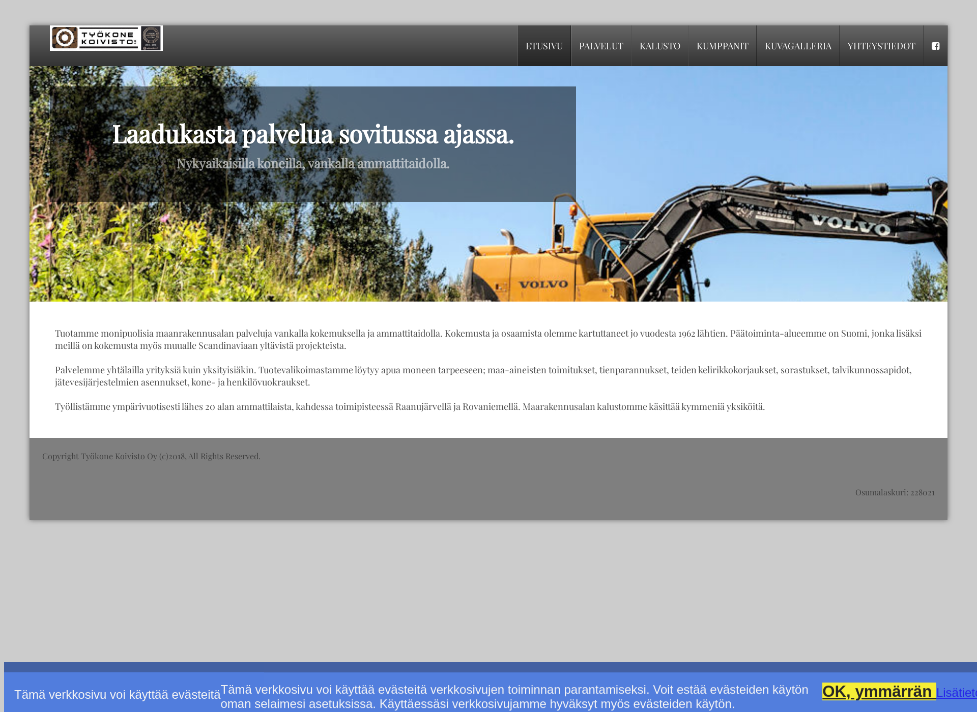 Screenshot for tyokonekoivisto.fi