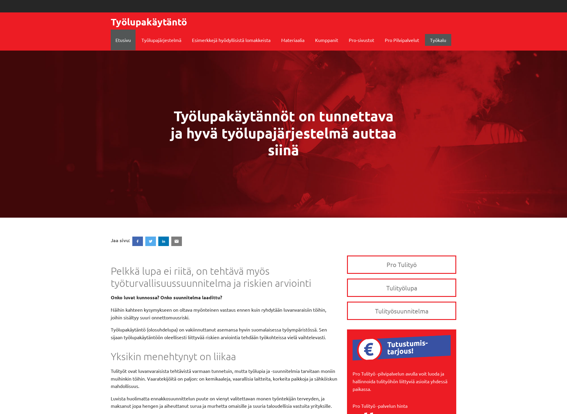 Skärmdump för tyolupakaytanto.fi