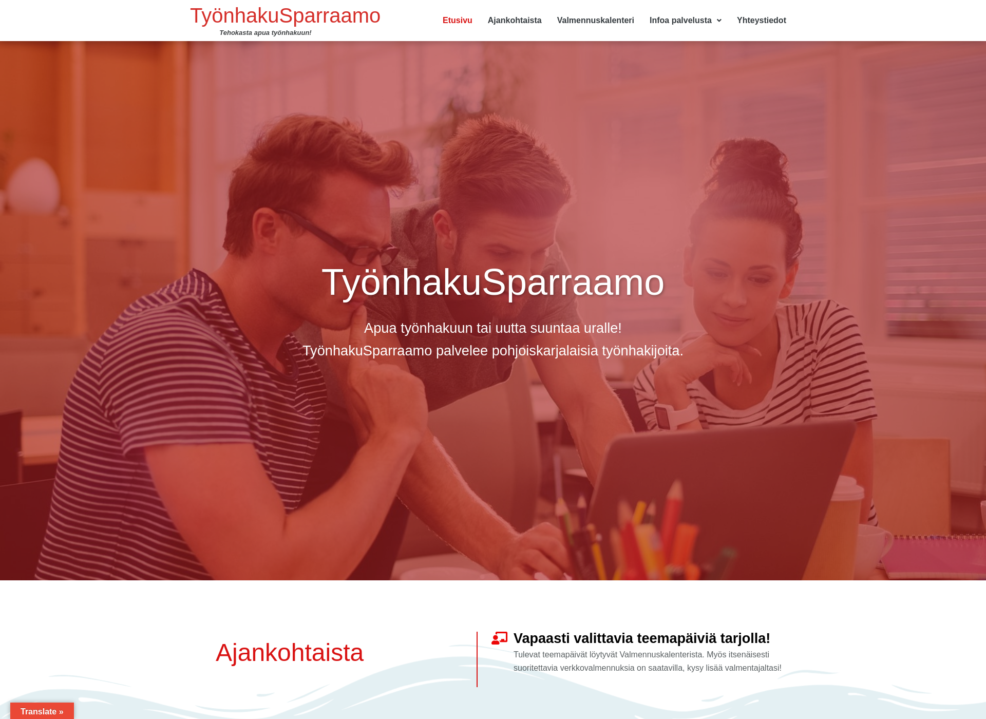 Screenshot for tyonhakusparraamo.fi