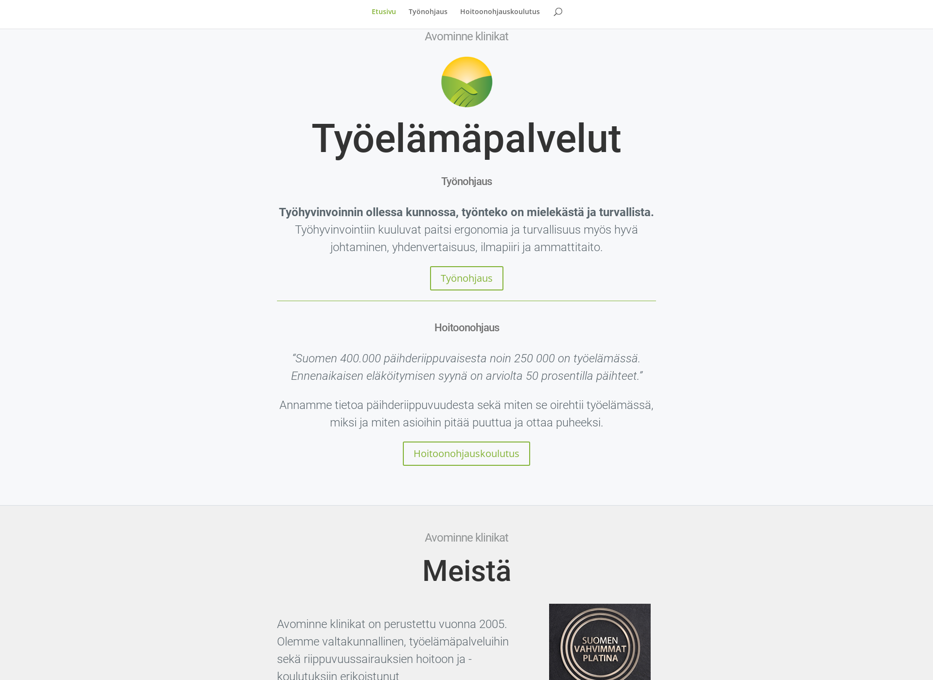 Screenshot for tyonohjaukset.fi