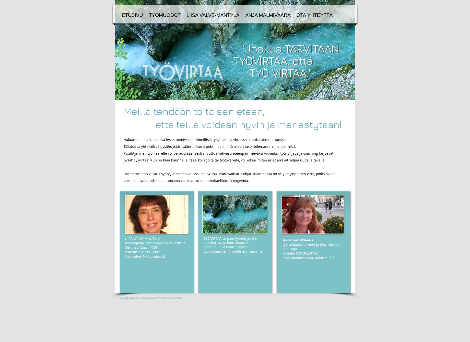 Screenshot for tyovirtaa.fi