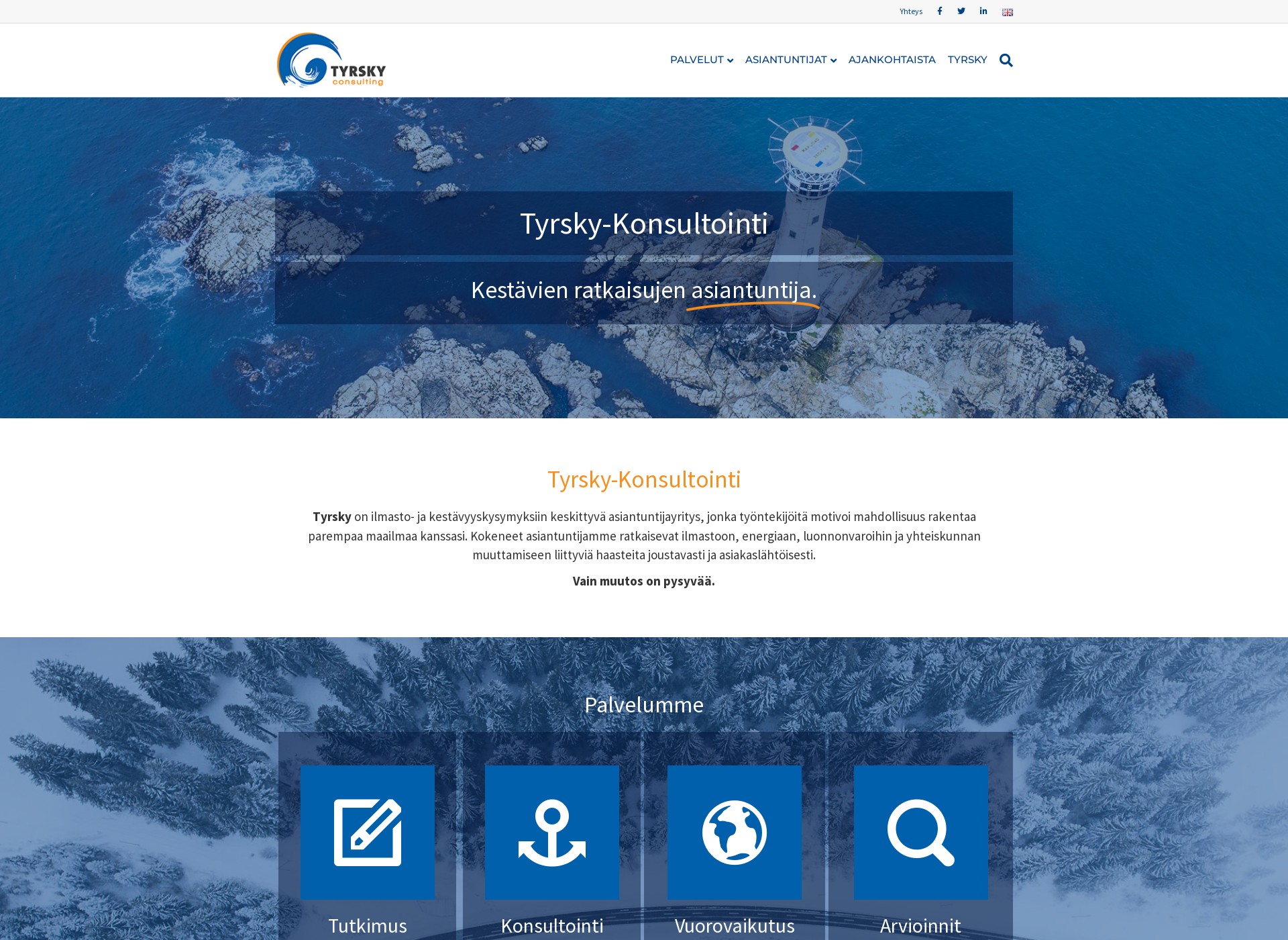 Screenshot for tyrskykonsultointi.fi