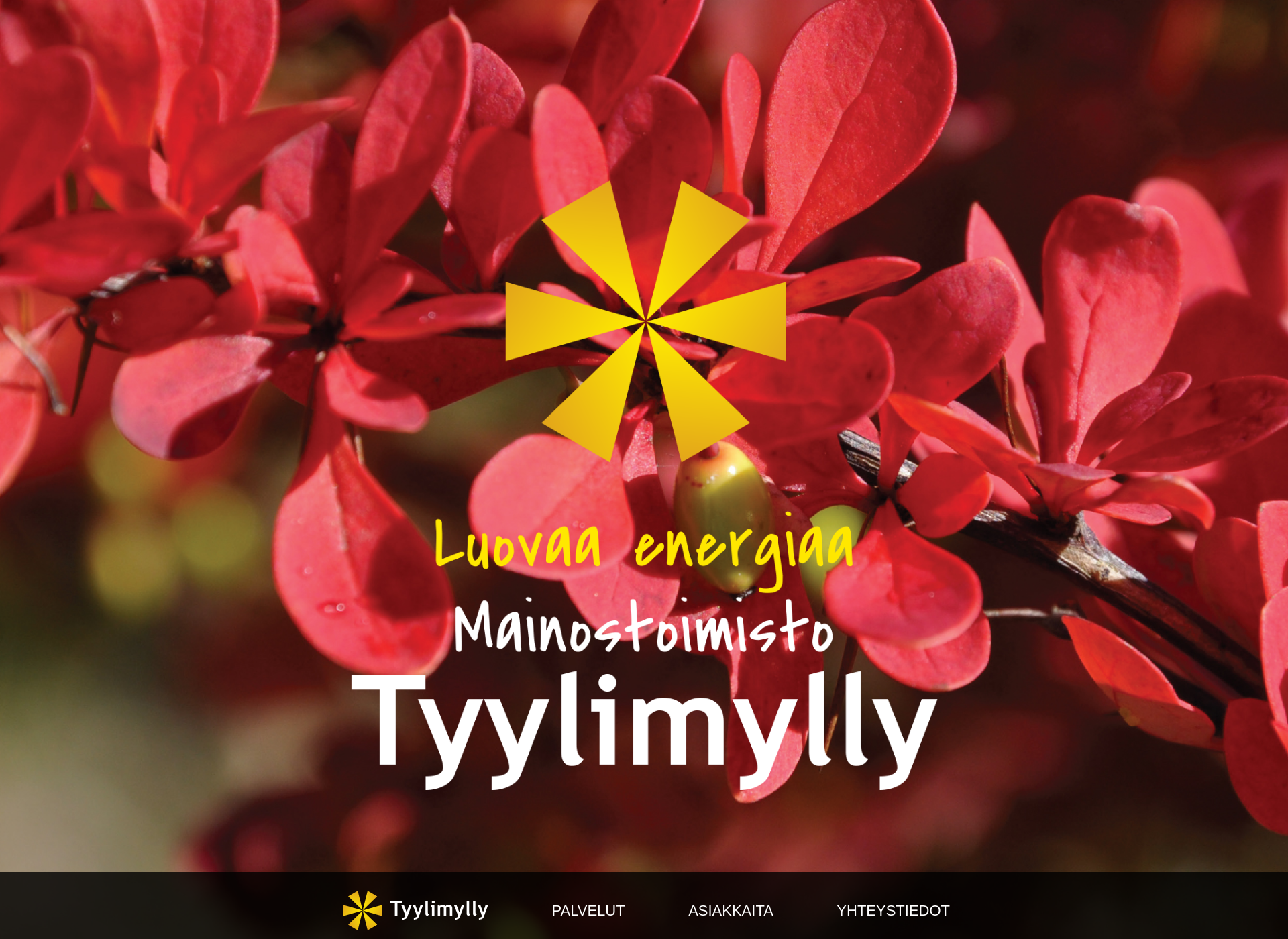 Skärmdump för tyylimylly.fi