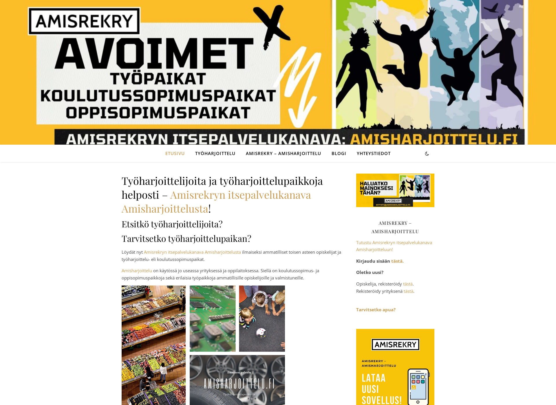 Skärmdump för työharjoittelu.fi