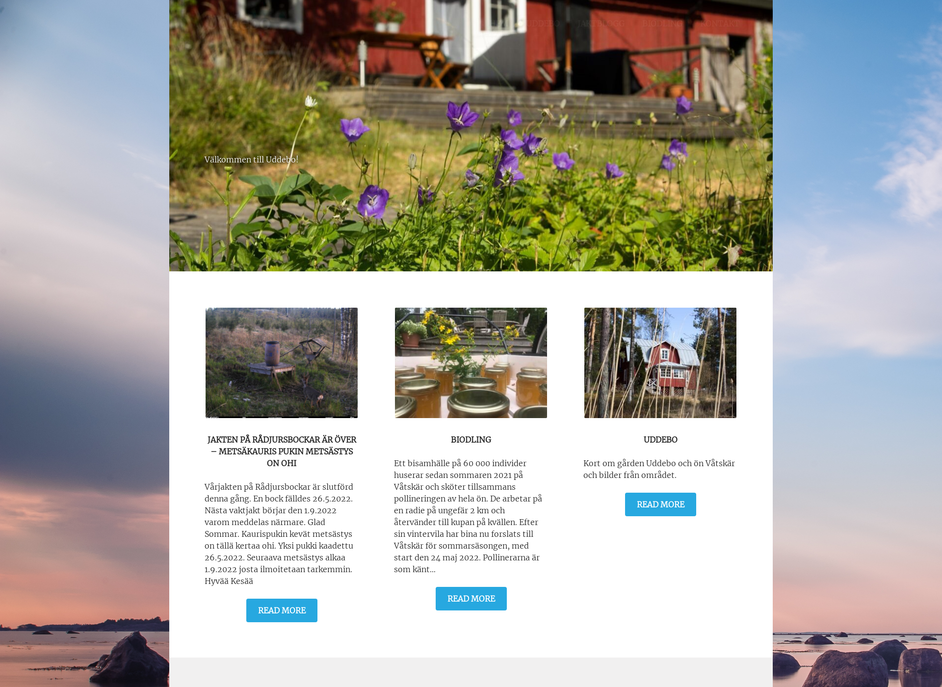 Screenshot for uddebo.fi