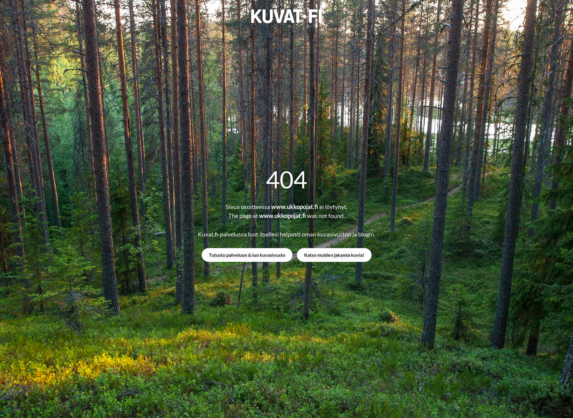 Screenshot for ukkopojat.fi