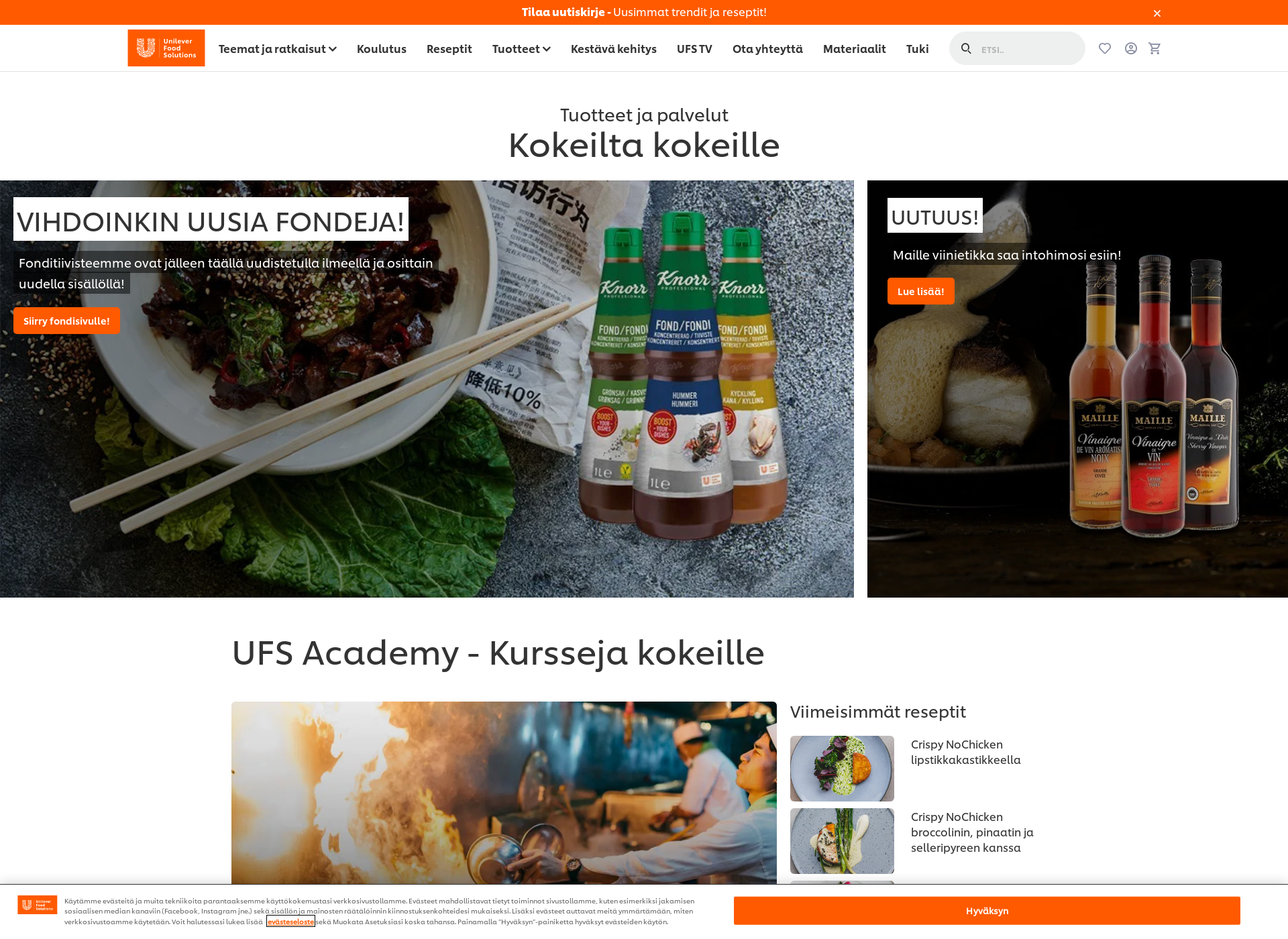 Skärmdump för unilever-foodsolutions.fi