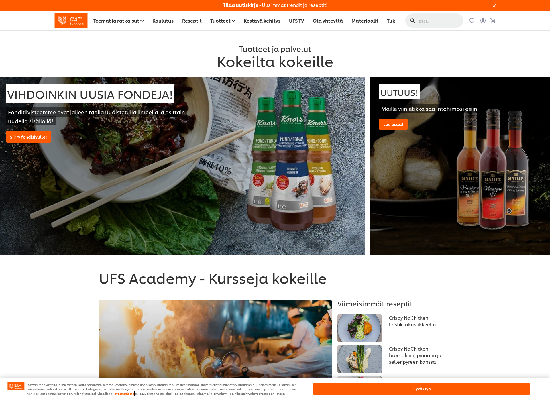 Skärmdump för unileverfoodsolutions.fi