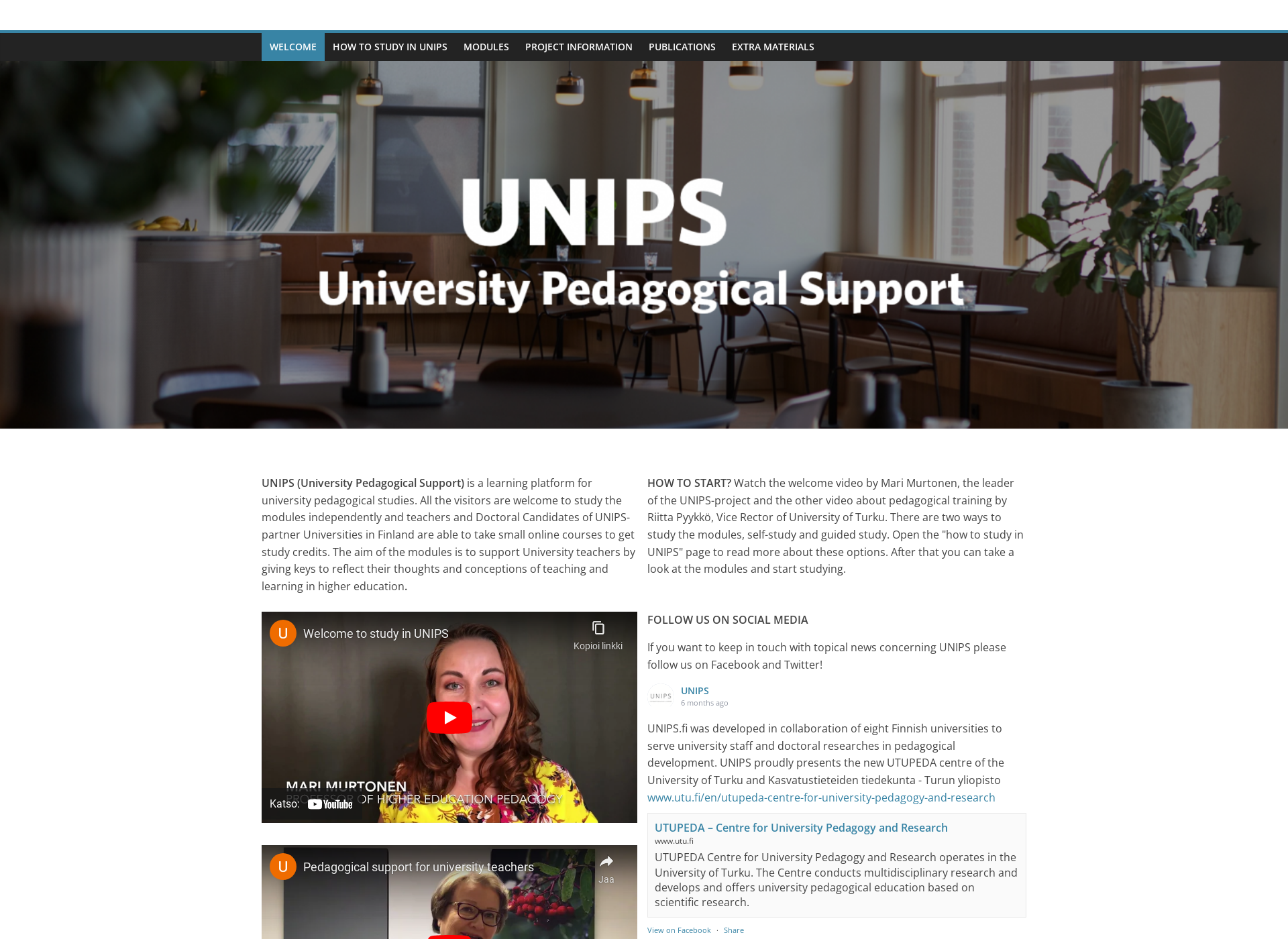 Screenshot for unips.fi