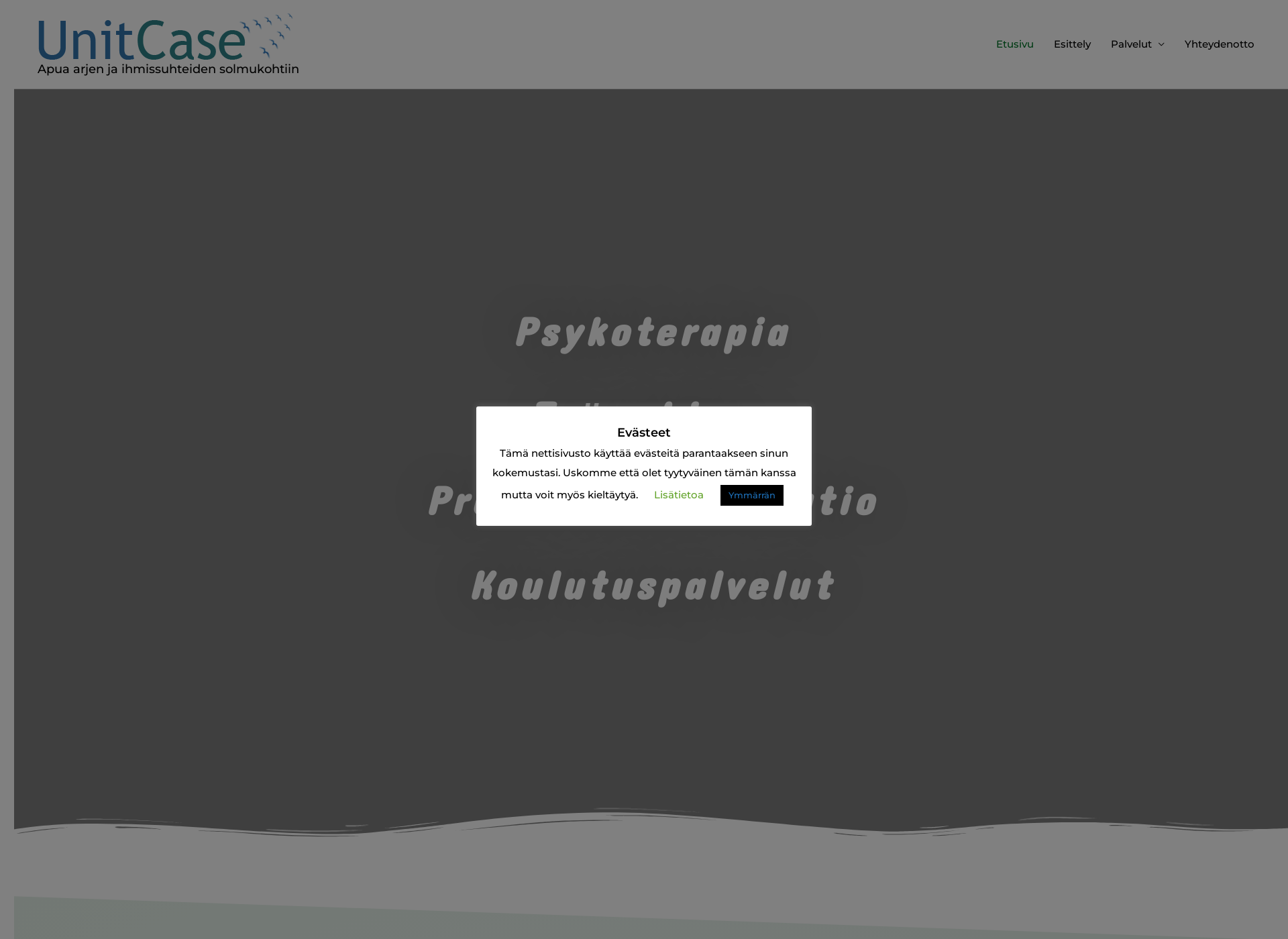 Skärmdump för unitcase.fi