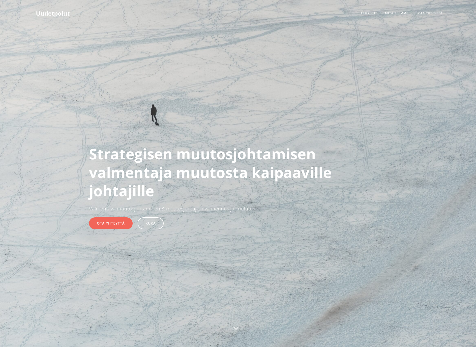 Screenshot for uudetpolut.fi