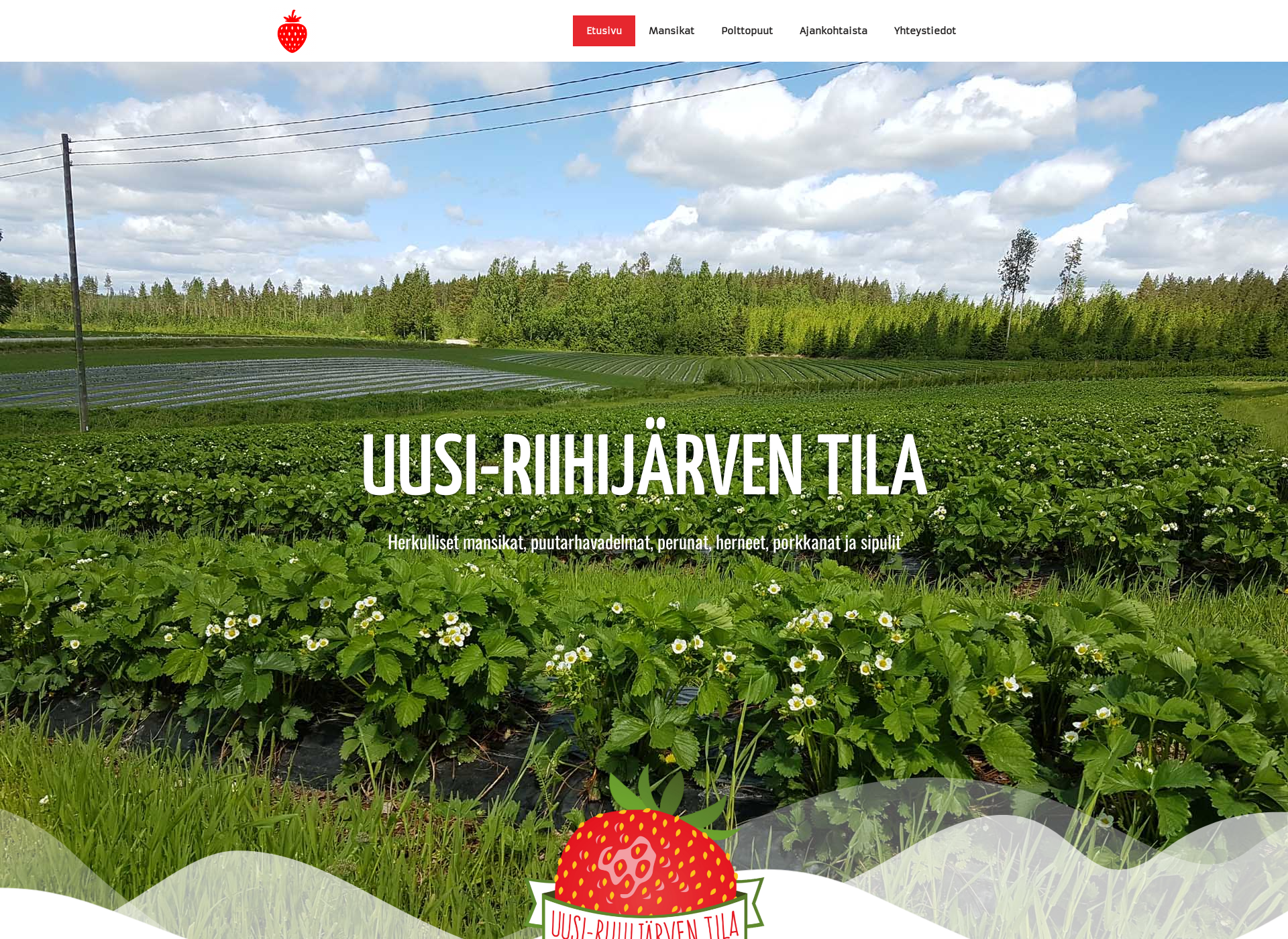 Screenshot for uusi-riihijarventila.fi