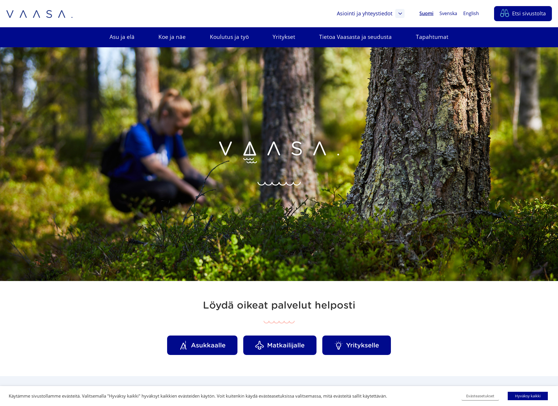 Screenshot for vaasa.fi