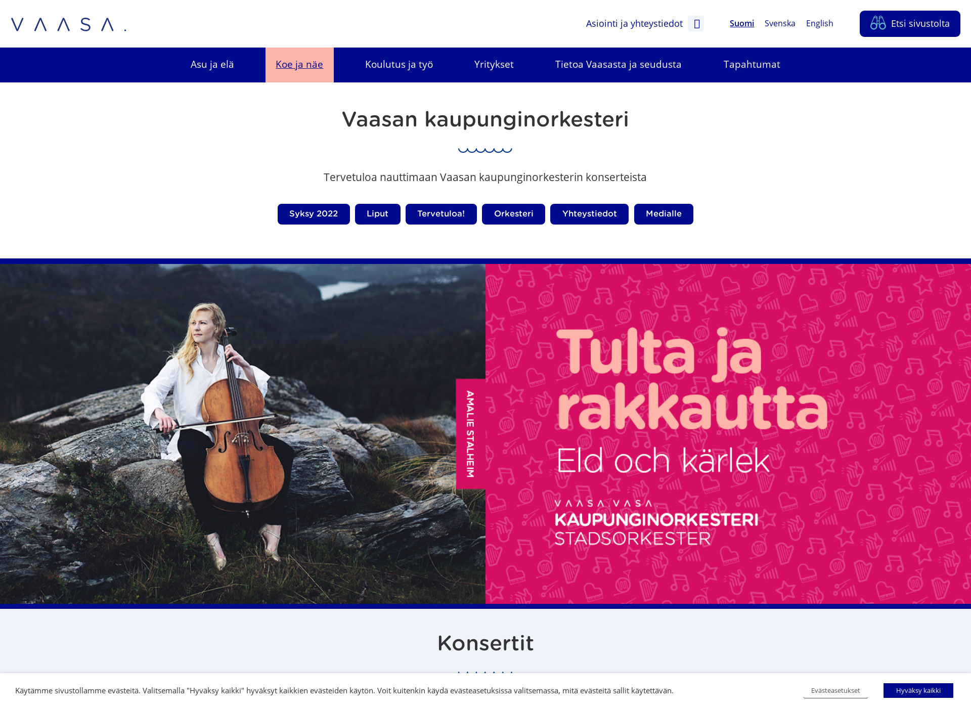 Screenshot for vaasankaupunginorkesteri.fi