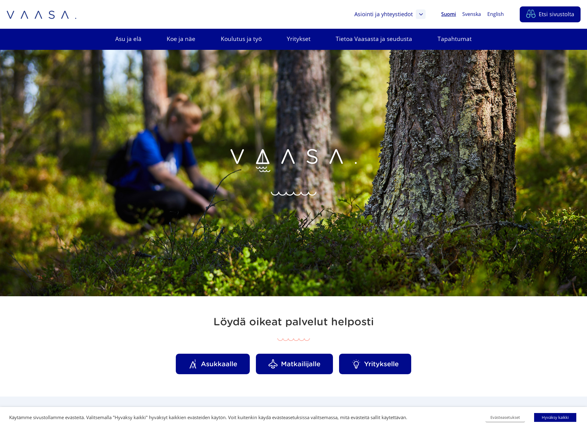 Screenshot for vaasanseutu.fi