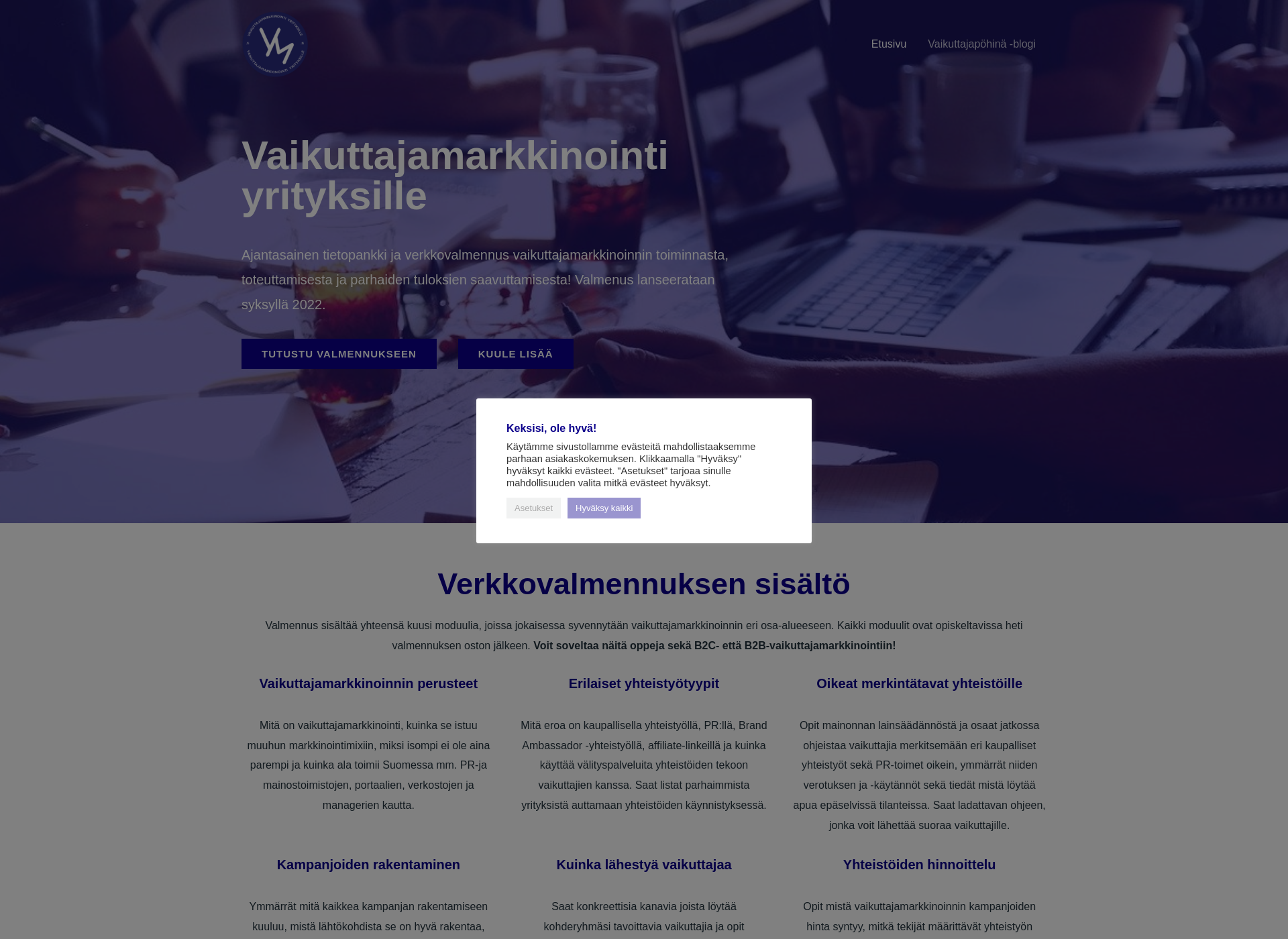 Screenshot for vaikuttajamarkkinointiyrityksille.fi