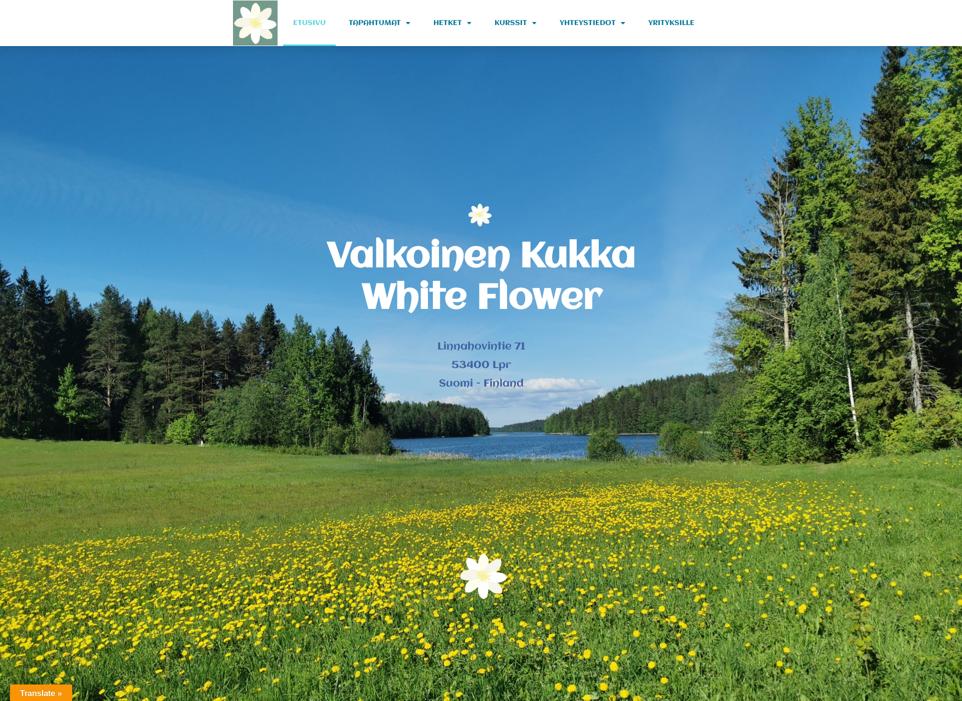 Screenshot for valkoinenkukka.fi