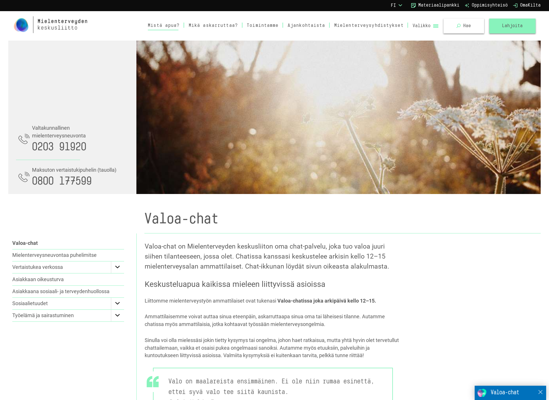 Screenshot for valoachat.fi