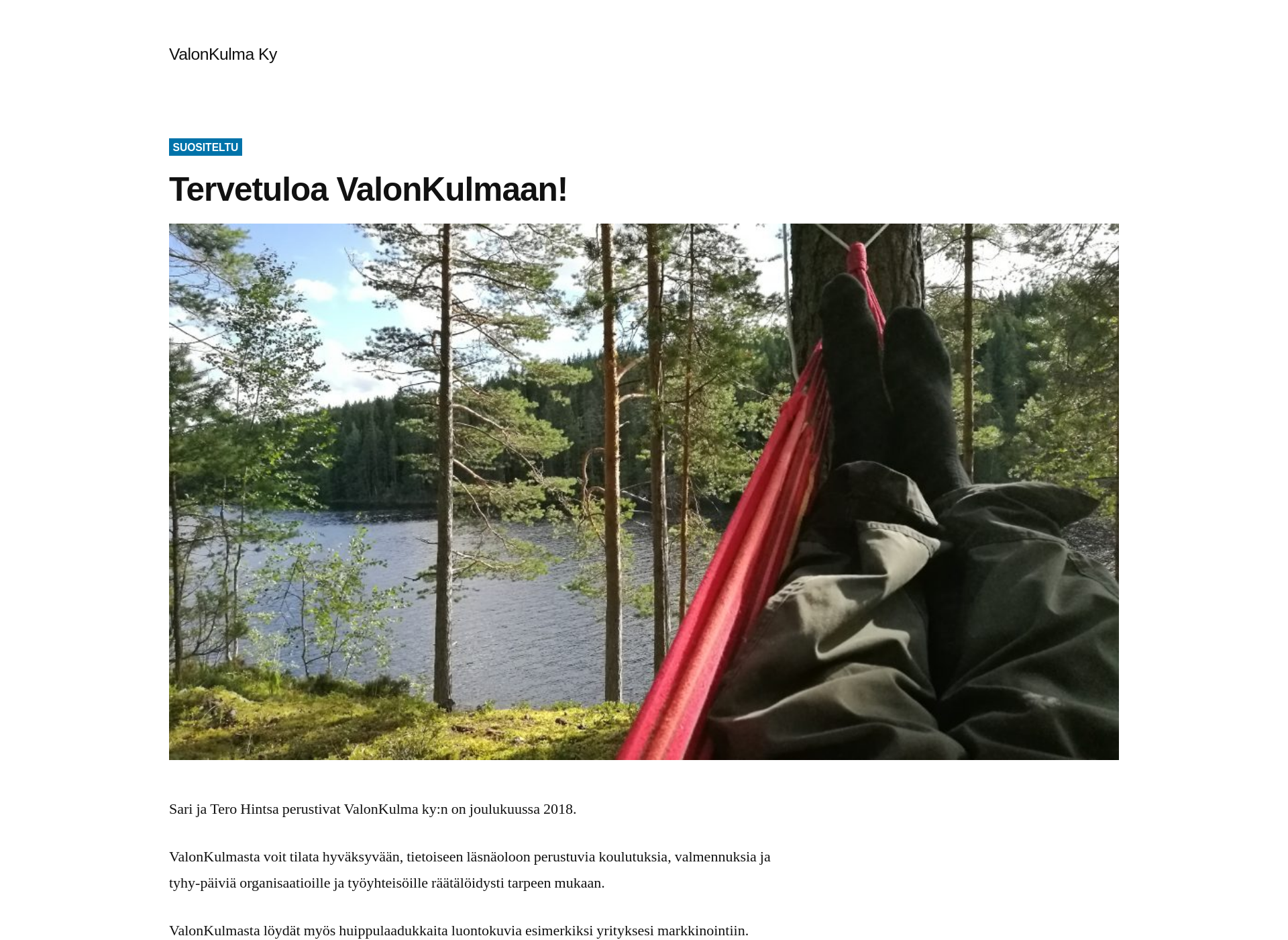 Screenshot for valonkulma.fi