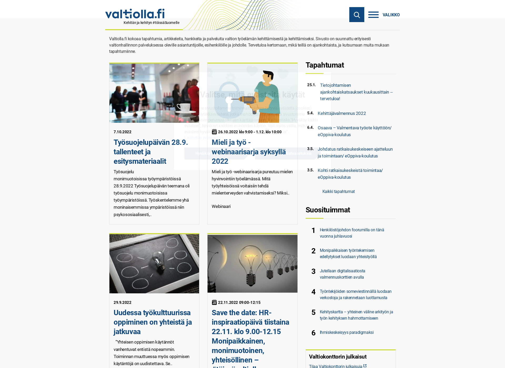 Screenshot for valtiolla.fi