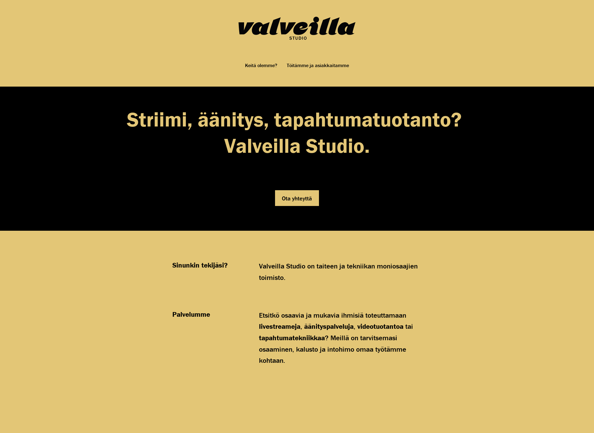 Screenshot for valveillastudio.fi