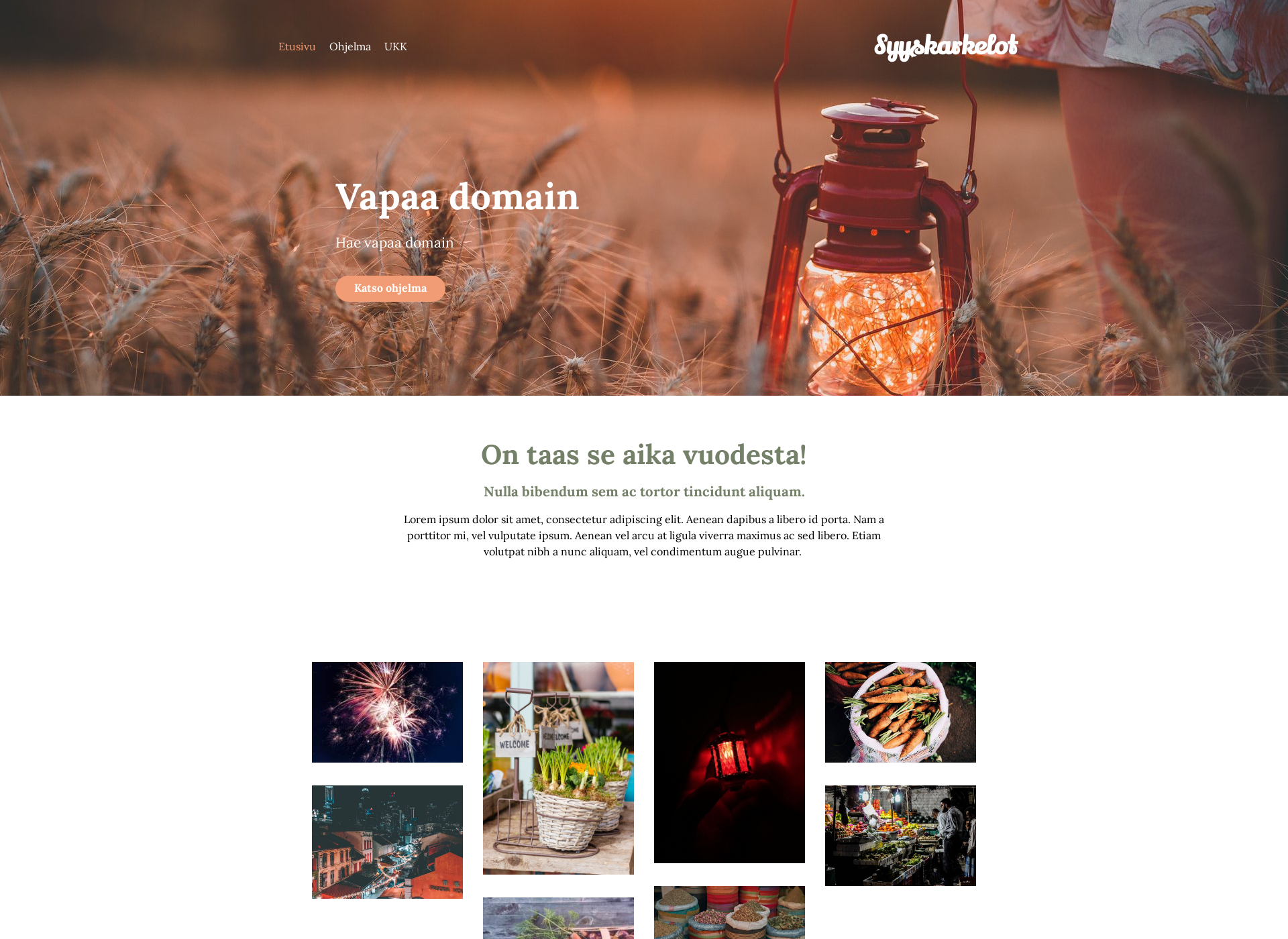 Skärmdump för vapaa-domain.fi