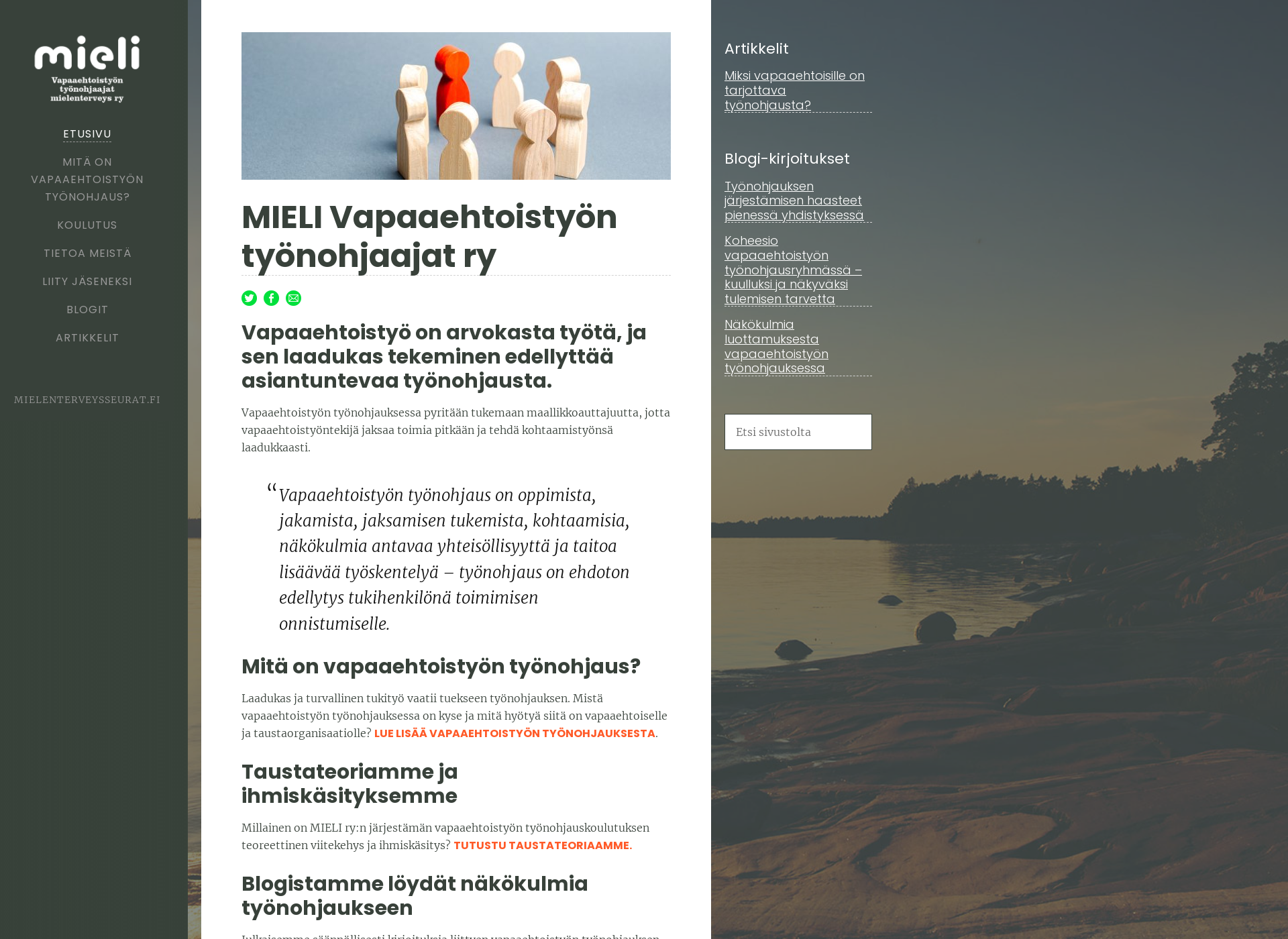 Skärmdump för vapaaehtoistyöntyönohjaajat.fi