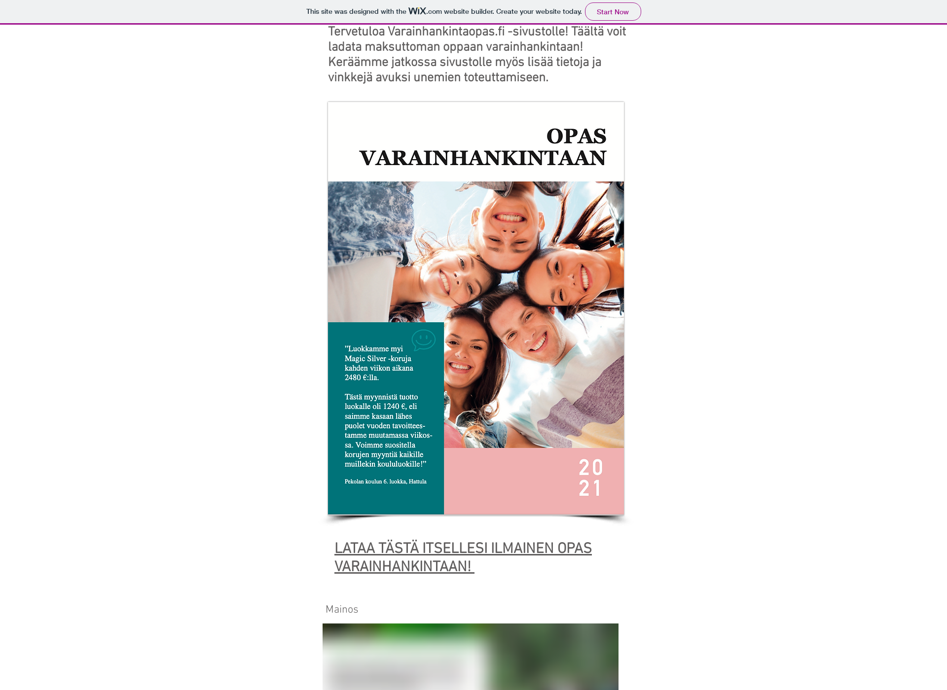 Screenshot for varainhankintaopas.fi