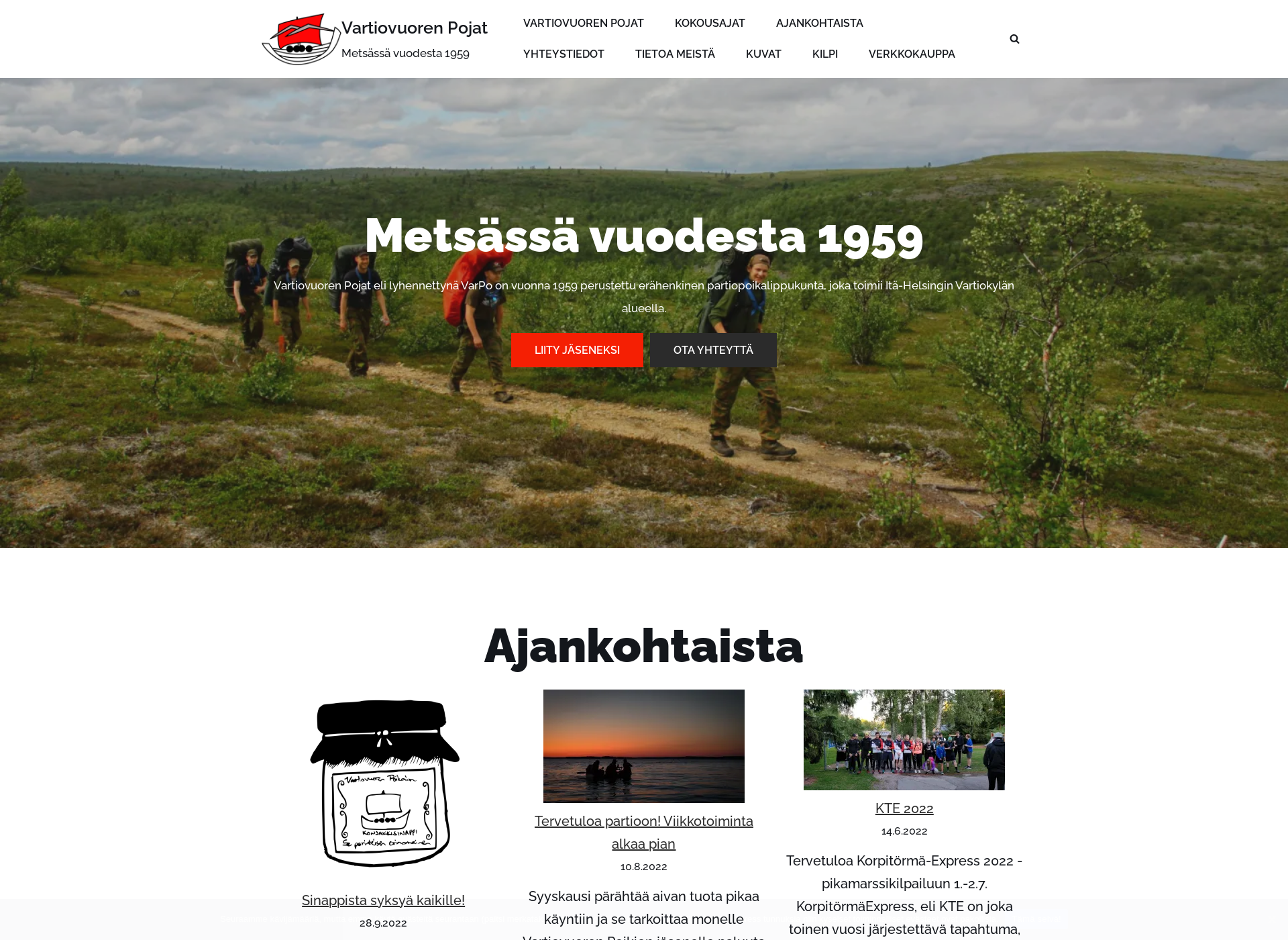 Screenshot for varpo.fi