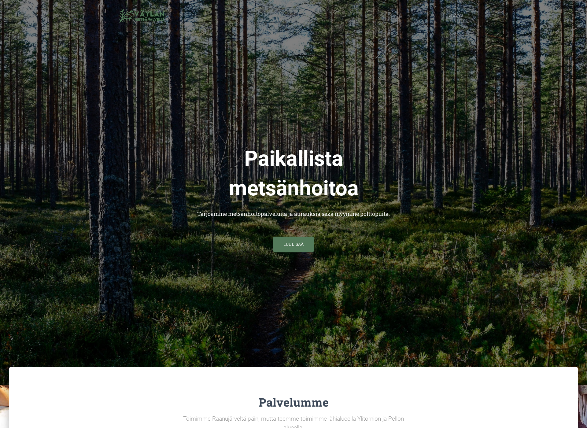 Skärmdump för vaylanmettapalvelu.fi