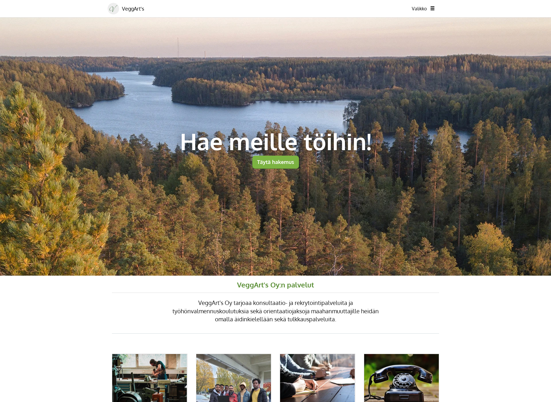 Screenshot for veggarts.fi