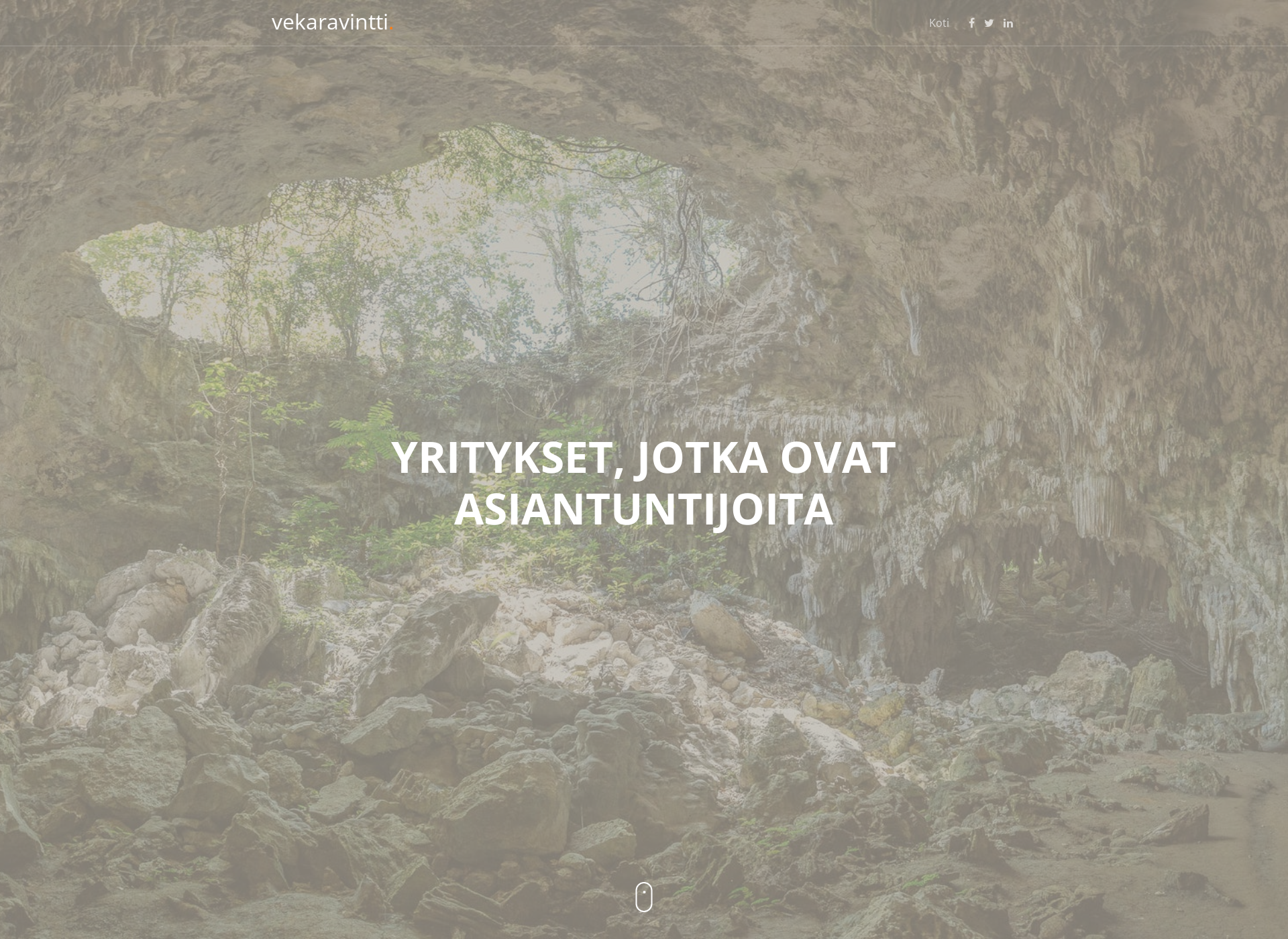 Screenshot for vekaravintti.fi