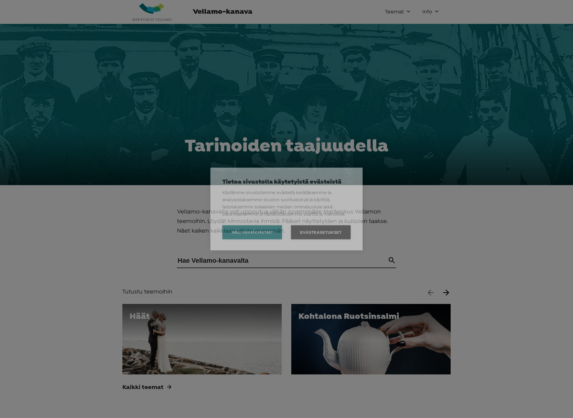 Skärmdump för vellamo-kanava.fi