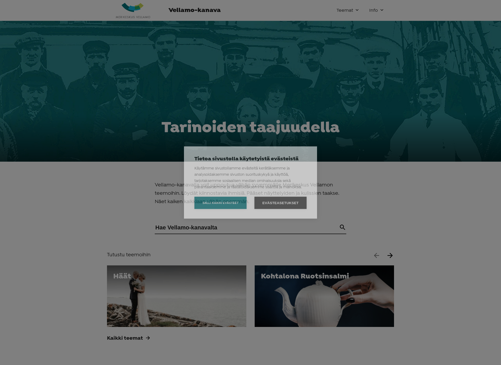 Screenshot for vellamokanava.fi