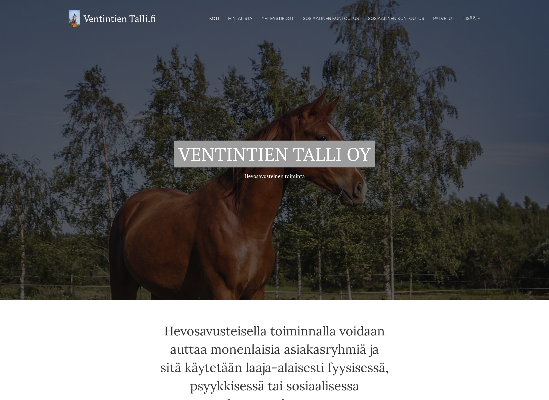 Skärmdump för ventintientalli.fi
