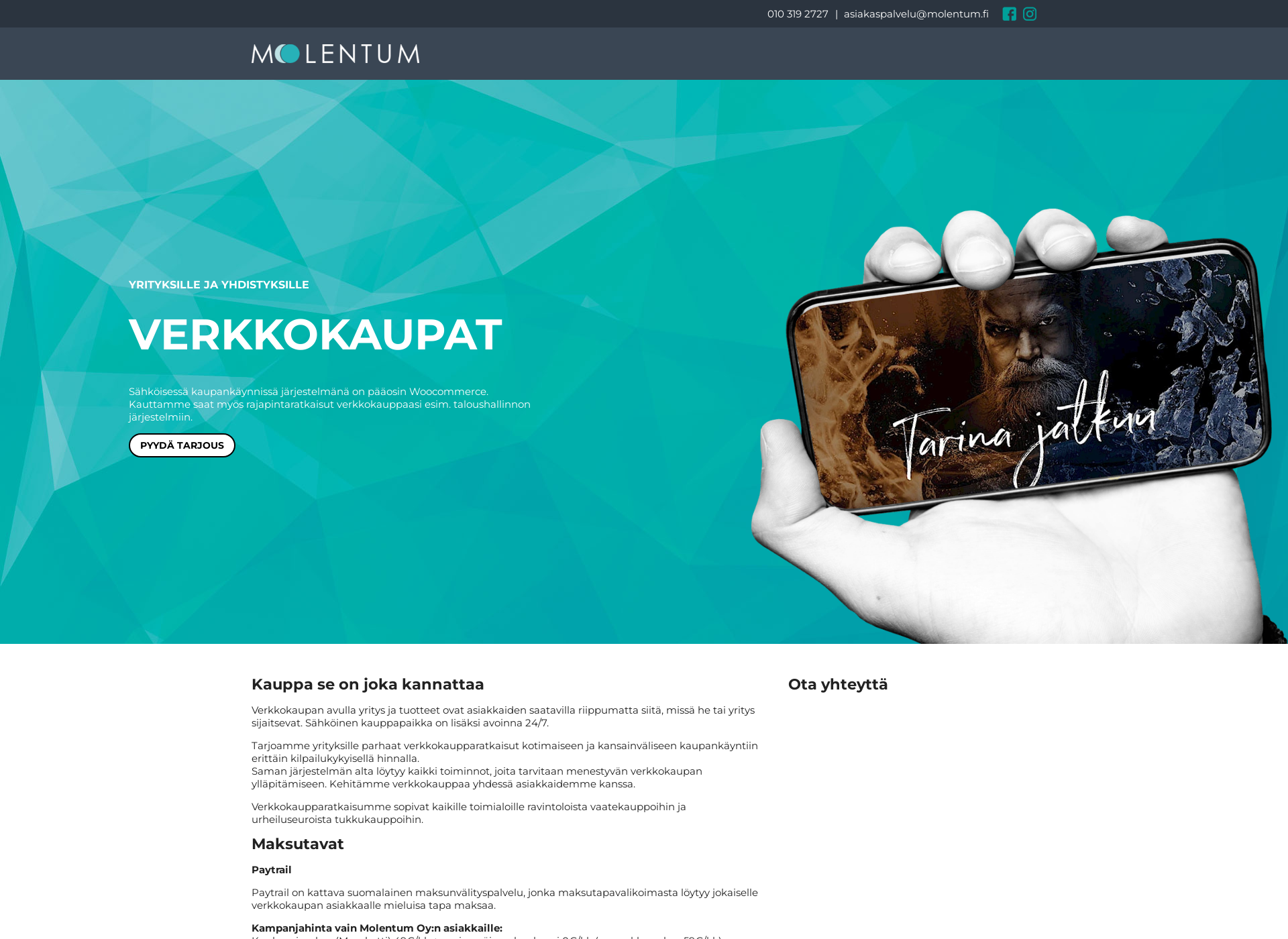 Screenshot for verkkokauppayrityksellejoensuu.fi