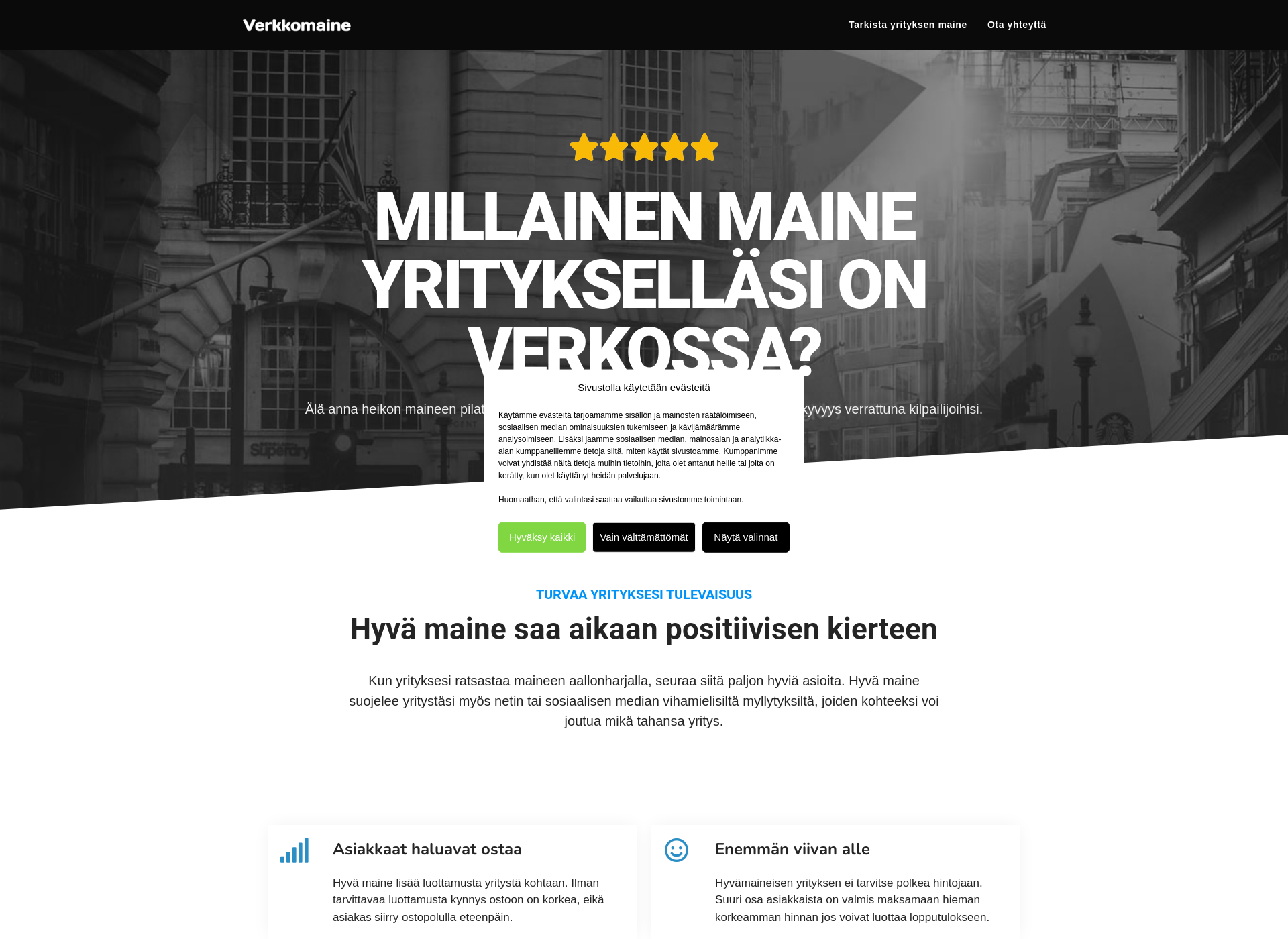 Screenshot for verkkomaine.fi