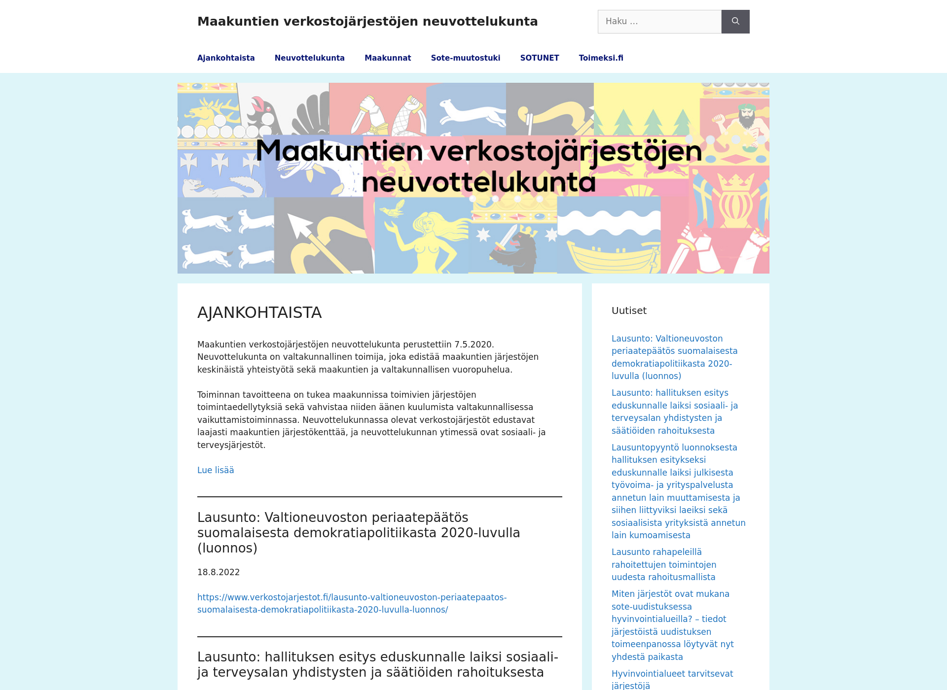 Skärmdump för verkostojarjestot.fi