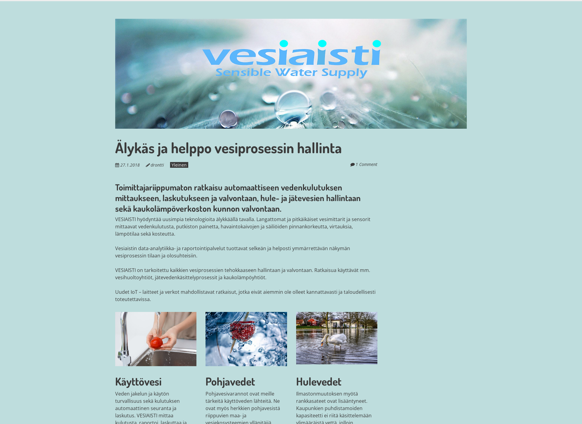 Screenshot for vesiaisti.fi