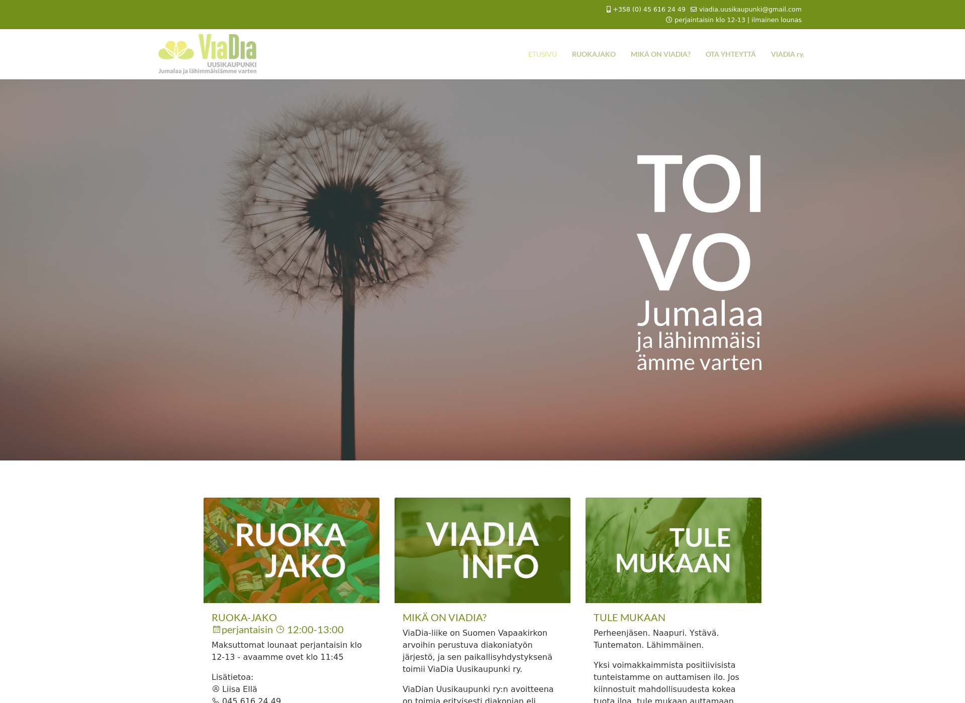 Skärmdump för viadiauusikaupunki.fi