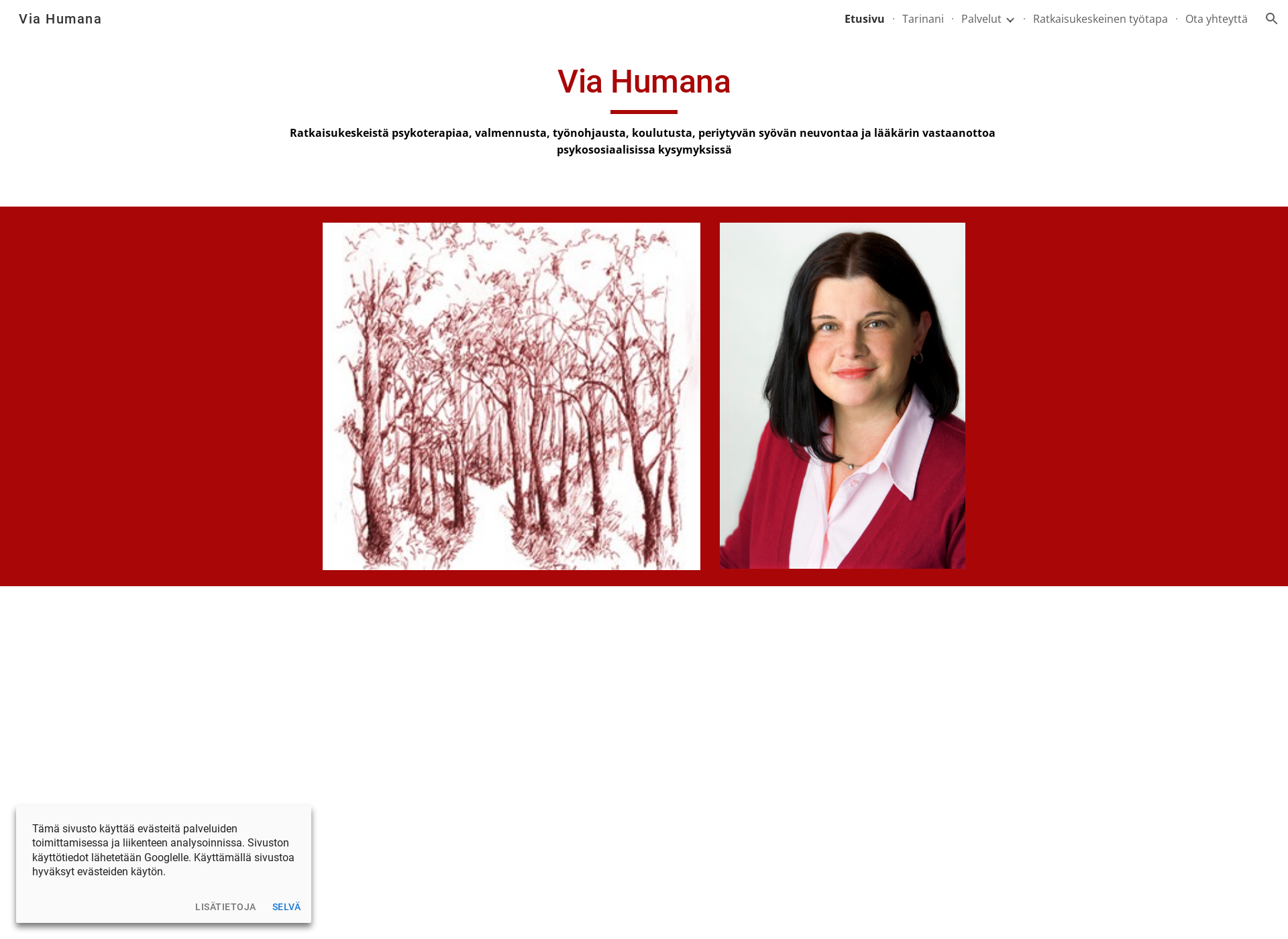 Screenshot for viahumana.fi