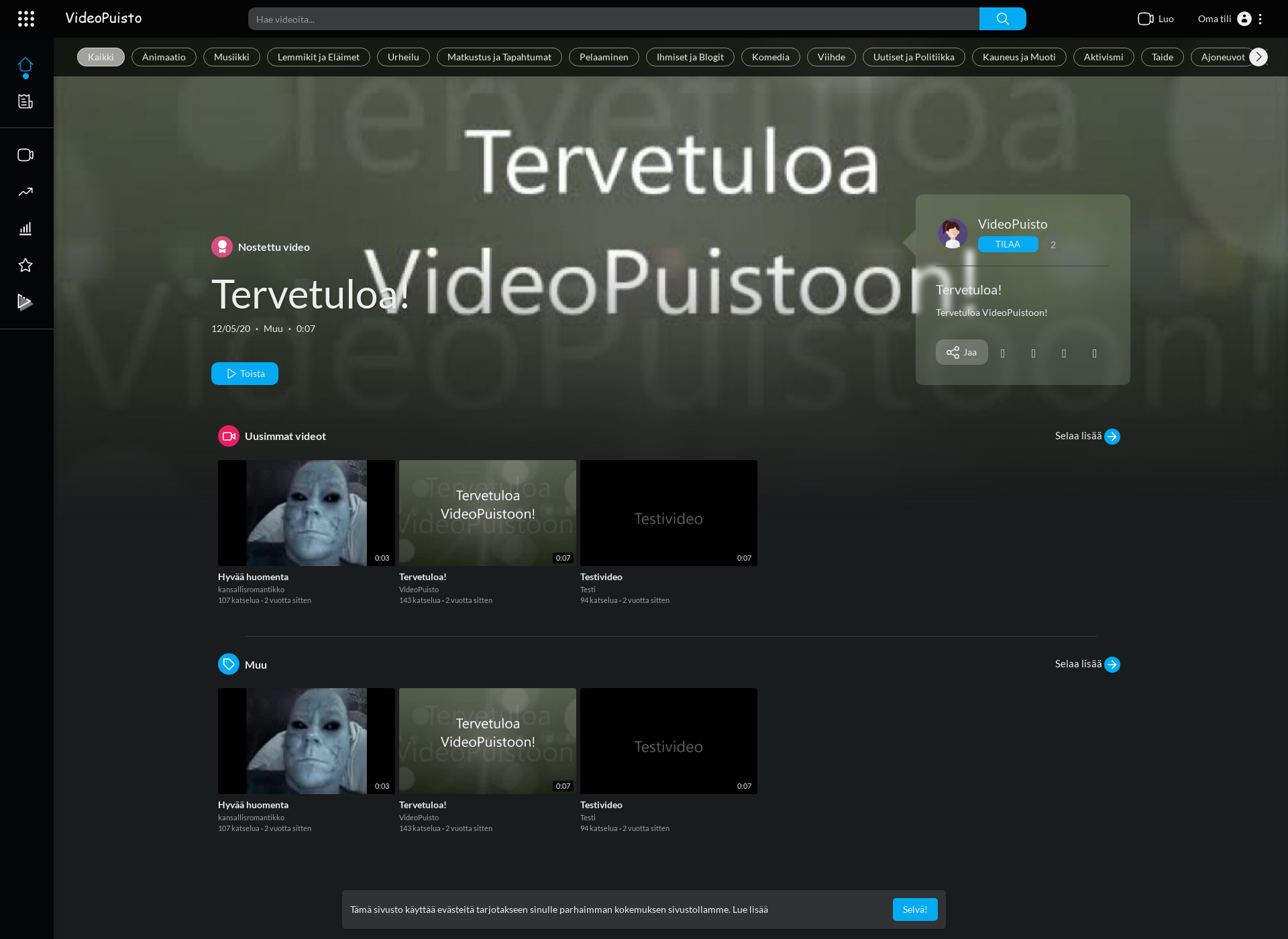 Skärmdump för videopuisto.fi