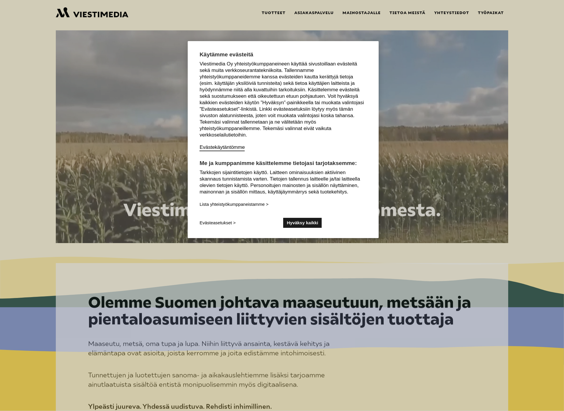 Screenshot for viestimedia.fi