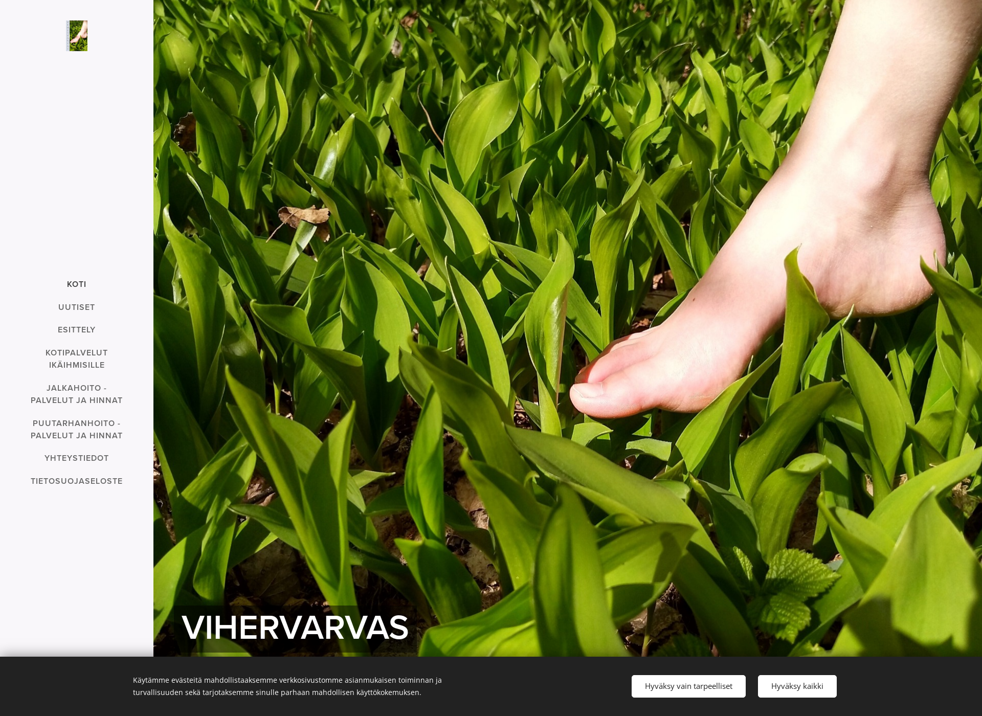 Screenshot for vihervarvas.fi