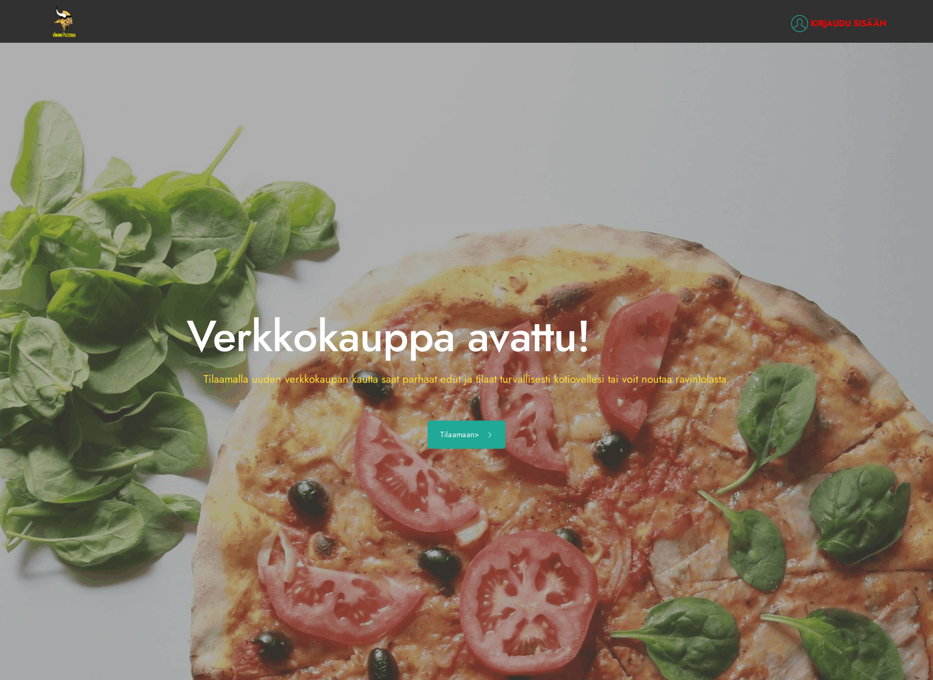 Screenshot for viikingpizzeria.fi