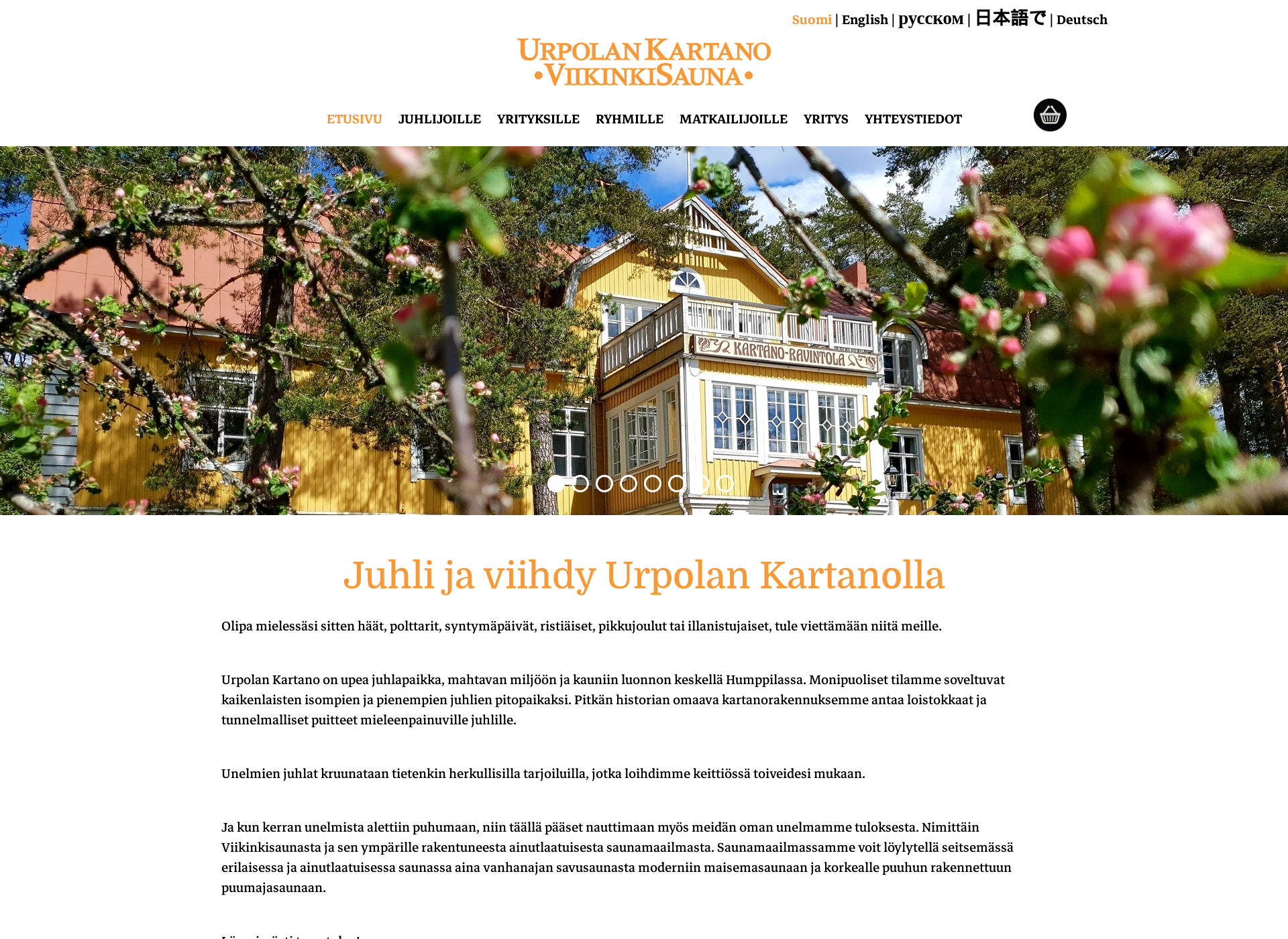 Screenshot for viikinkisauna.fi